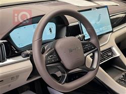 بي واي دي سونغ بلس